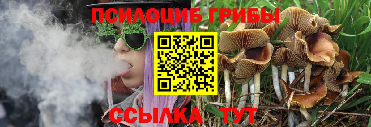 Галлюциногенные грибы Cubensis  Галлюциногенные грибы Magic Shrooms  Вход с VPN  Избербаш 